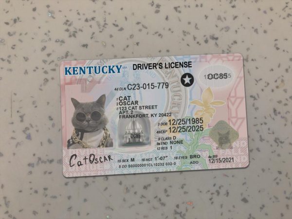 Kentucky Driver License Template