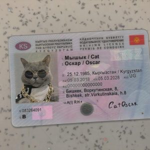 Kyrgyzstan Driver License Template