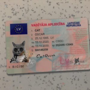Latvia Driver License Template