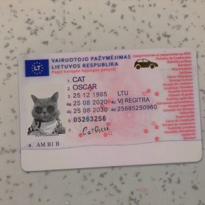 Lithuania Driver License Template