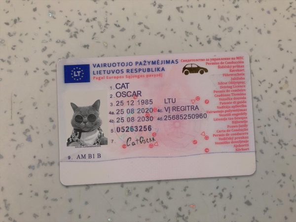 Lithuania Driver License Template