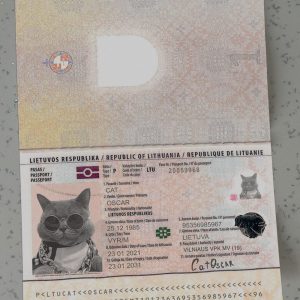 Lithuania Passport Template