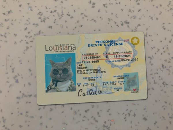 Louisiana Driver License Template