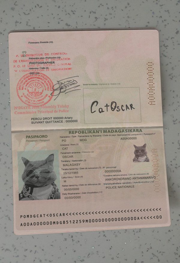 Madagascar Passport Template