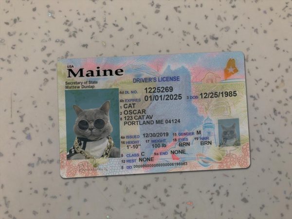 Maine Driver License Template