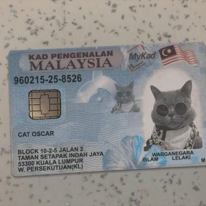 Malaysia Identity Card Template