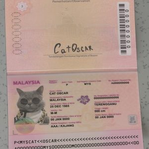 Malaysia Passport Template