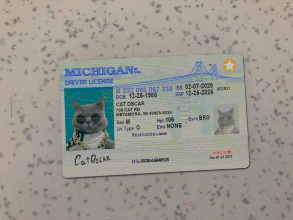 Michigan Driver License Template