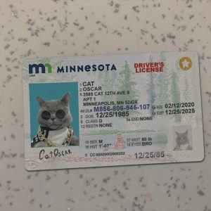 Minnesota Driver License Template