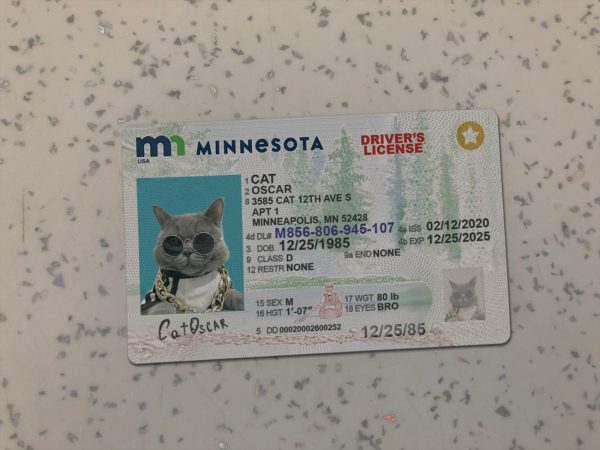 Minnesota Driver License Template