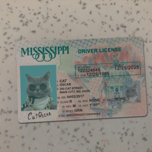 Mississippi Driver License Template
