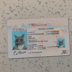 Missouri Driver License Template