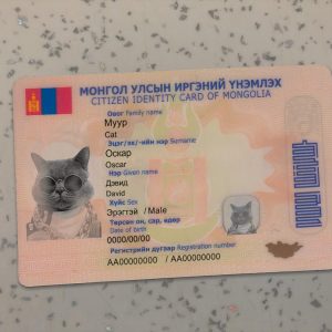 Mongolia Identity Card Template