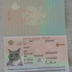 Montenegro Passport Template