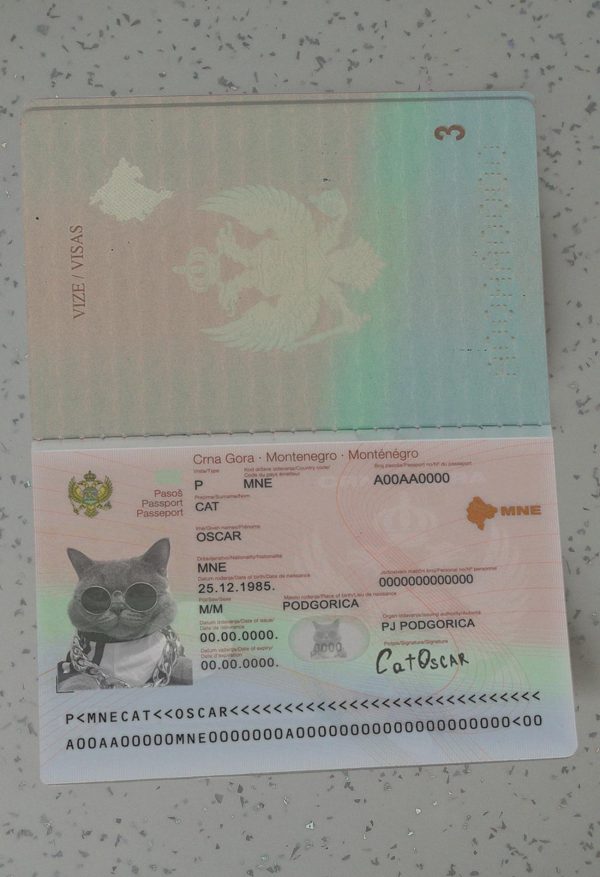 Montenegro Passport Template