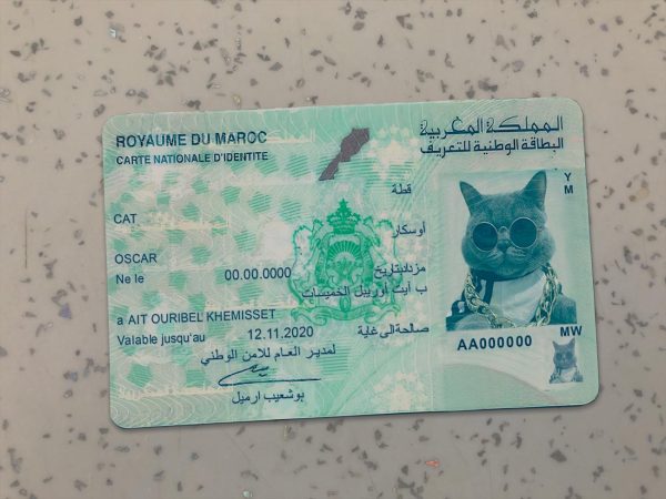 Morocco Identity Card Template