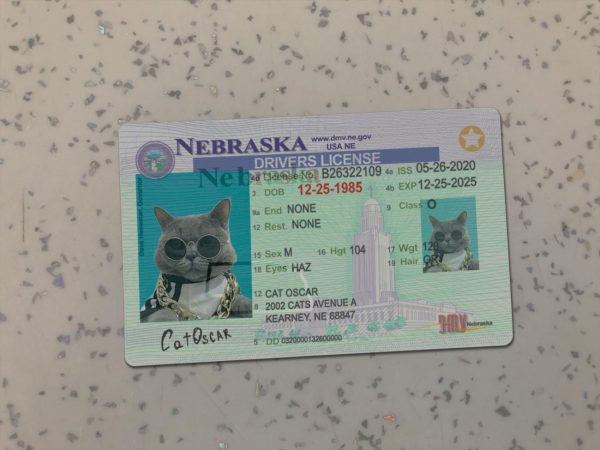 Nebraska Driver License Template