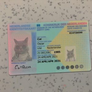 Netherland Identity Card Template