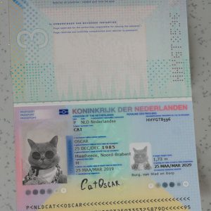 Netherlands Passport Template