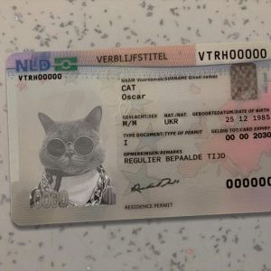 Netherlands Permanent Residence Card Template
