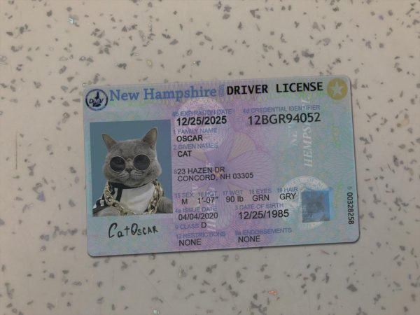 New Hampshire Driver License Template