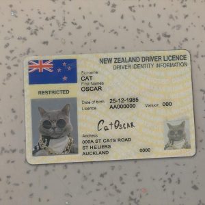 New Zealand Driver License Template