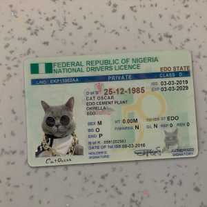 Nigeria Driver License Template