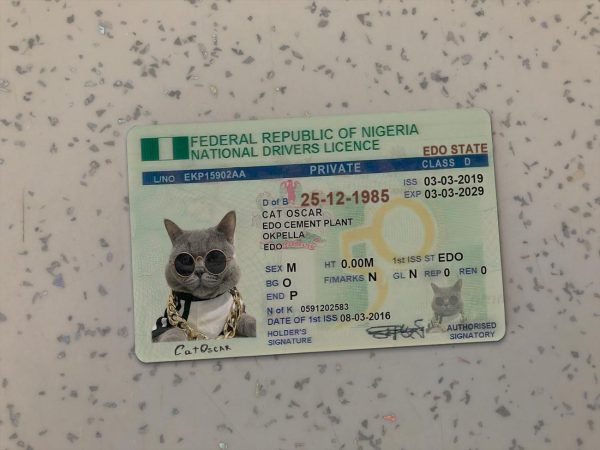 Nigeria Driver License Template