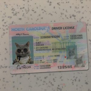 North Carolina Driver License Template