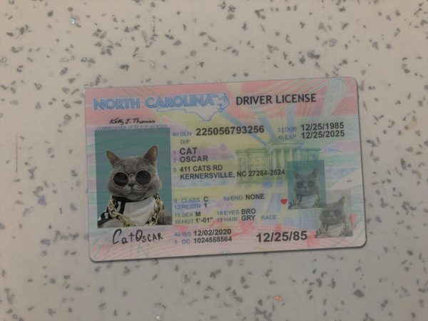 North Carolina Driver License Template