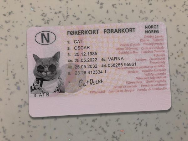 Norway Driver License Template