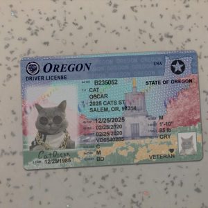 Oregon Driver License Template