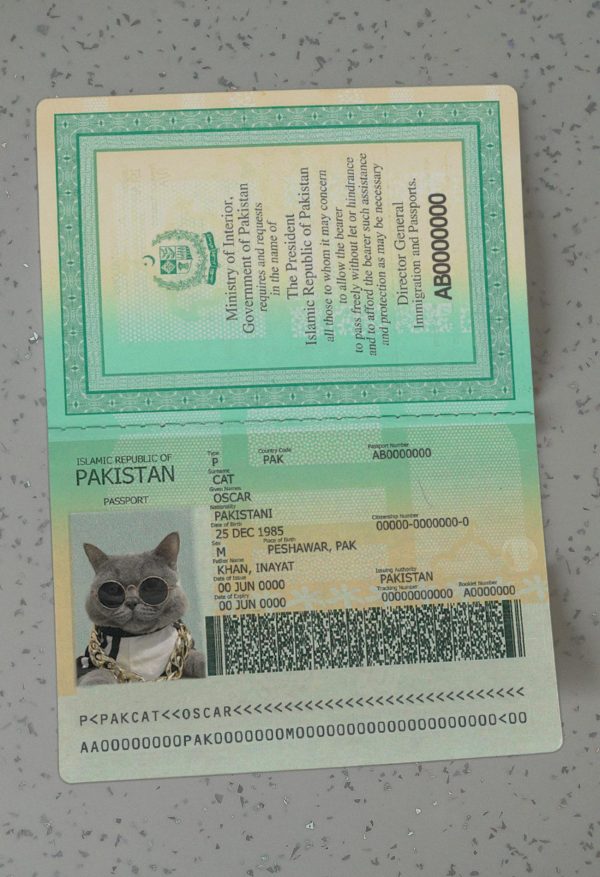Pakistan Passport Template