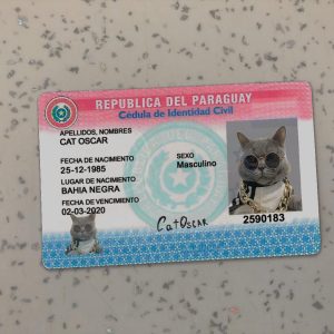 Paraguay Identity Card Template