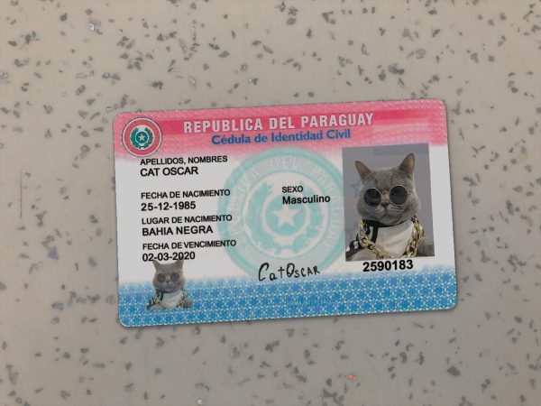 Paraguay Identity Card Template