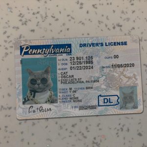Pennsylvania Driver License Template