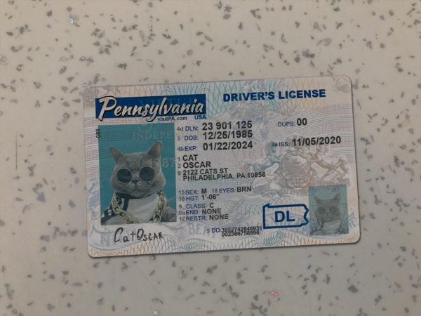 Pennsylvania Driver License Template