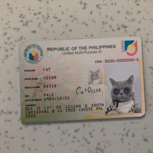 Philippines Identity Card Template