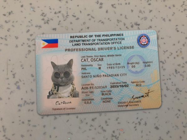 Philippines driver license template