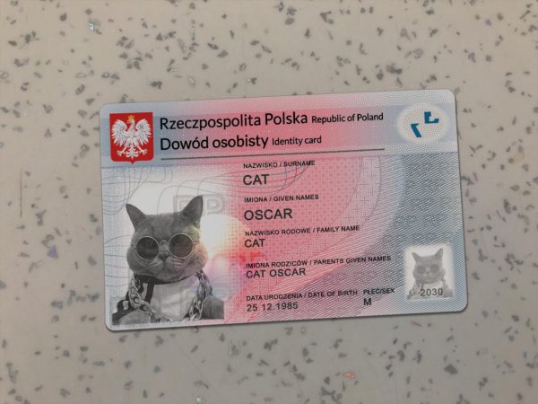 Poland Identity Card Template