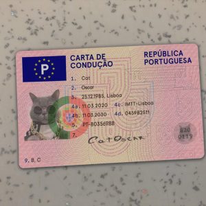 Portugal Driver License Template