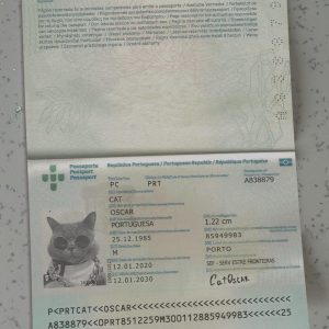 Portugal Passport Template