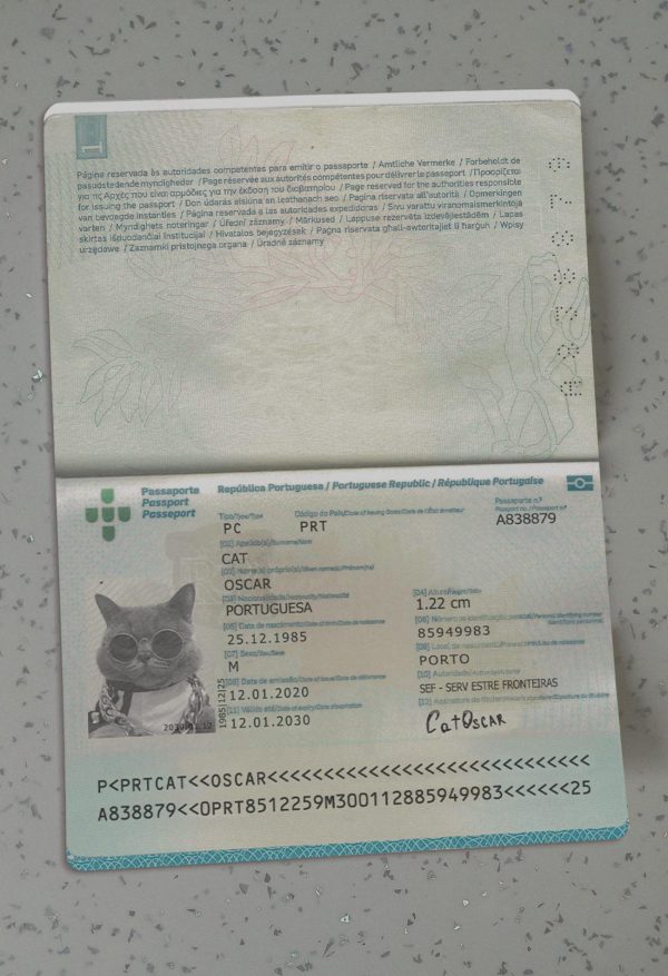 Portugal Passport Template