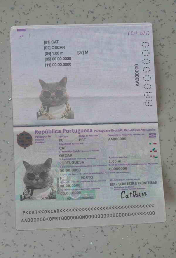 Portugal Passport Template New