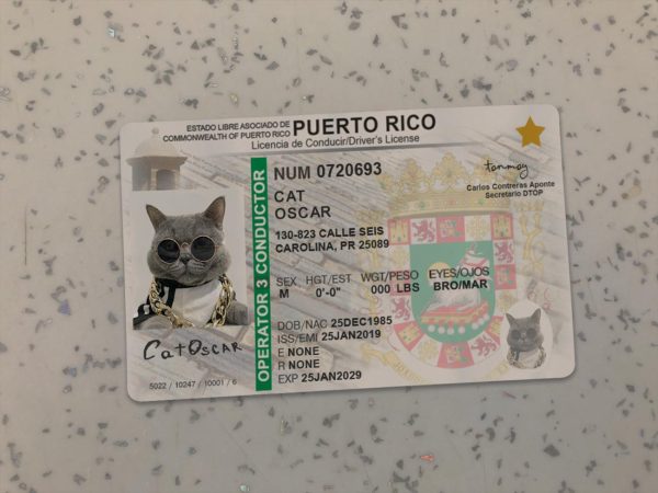 Puerto Rico Driver License Template