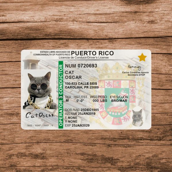 Puerto Rico D Template - Image 5