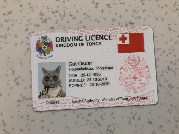 Republic of Tonga Driver License Template