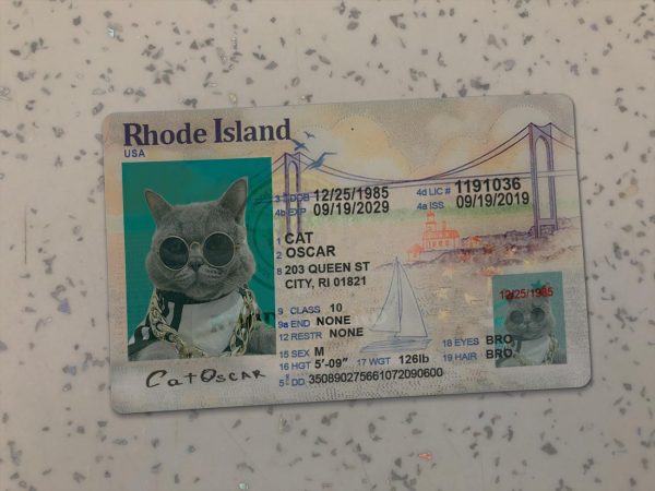 Rhode Island Driver License Template