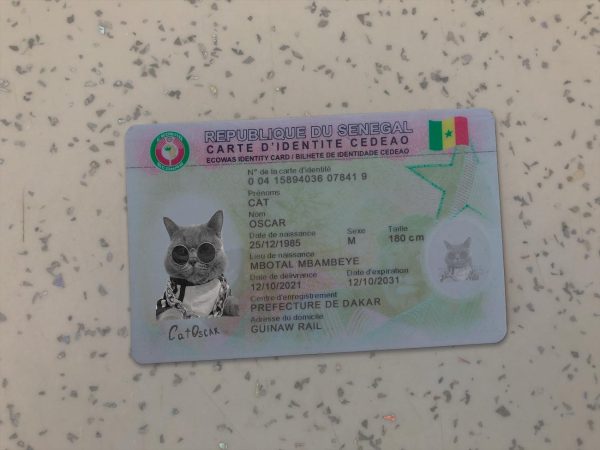 Senegal Identity Card Template