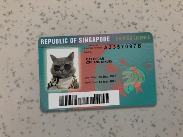 Singapore Driver License Template